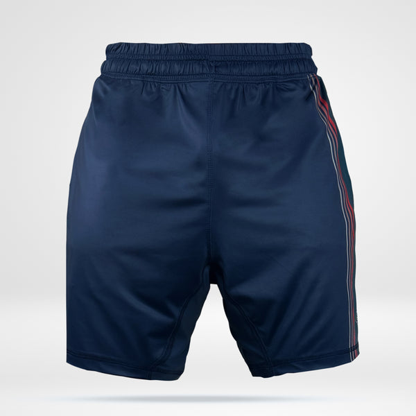 Pacific shorts - Navy w Stripes